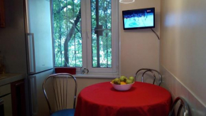 Apartment on Petrozavodskaya
